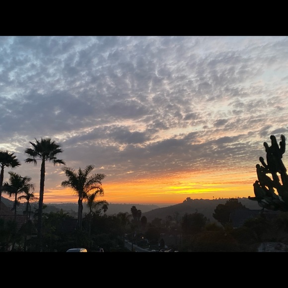 Meet your Posher, Michelle - Picture 8 of 16